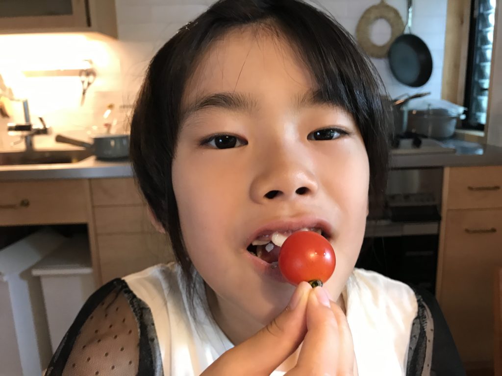 収穫したトマトを食べる長女